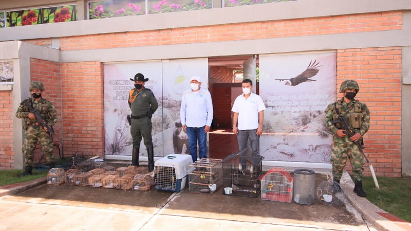 Policías y militares junto a jaulas con animales silvestres incautados frente a una edificación de ladrillo