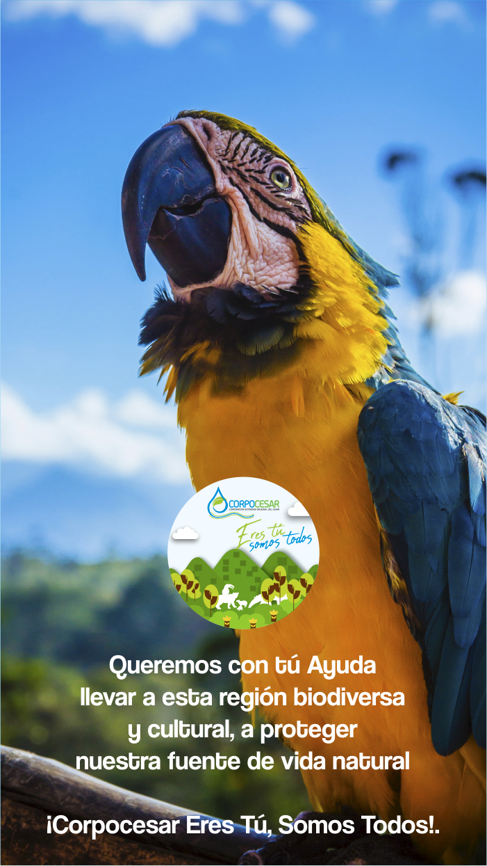 Corpocesar lanza campaña para crear cultura ambiental sostenible en la comunidad