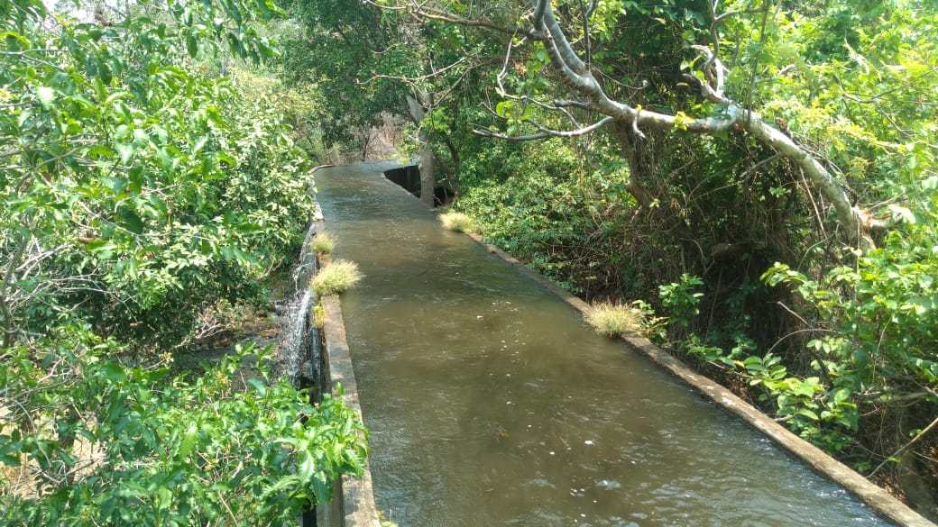Un canal de concreto con agua entre vegetación, a la altura de la bocatoma