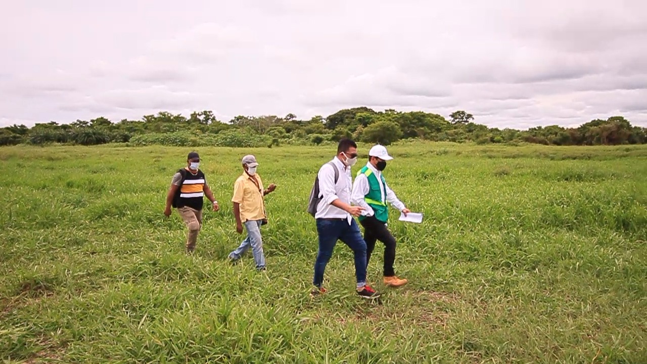 Funcionarios caminan por un pastizal durante el recorrido de verificación