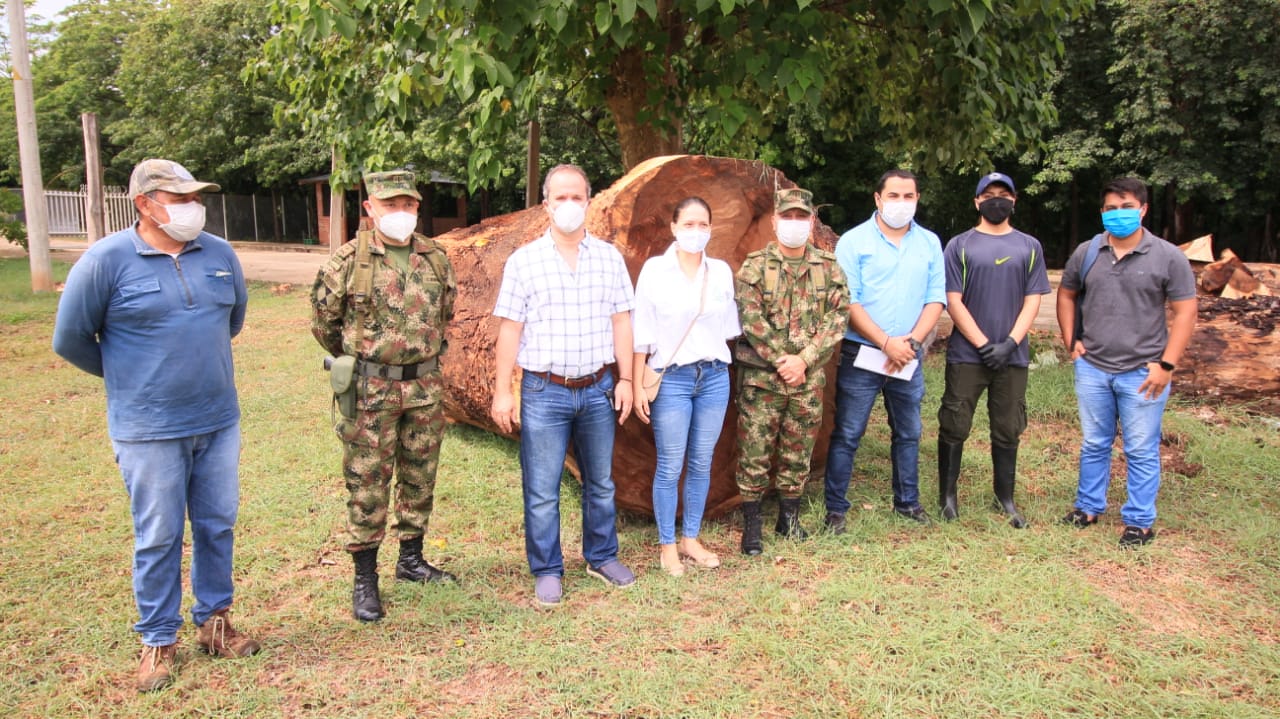 Funcionarios y militares posan junto a troncos de madera decomisados sobre el pasto