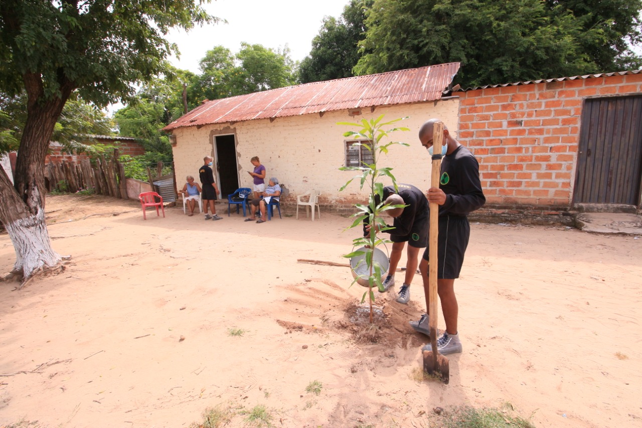 Dos personas siembran un árbol con palas frente a una casa en un corregimiento