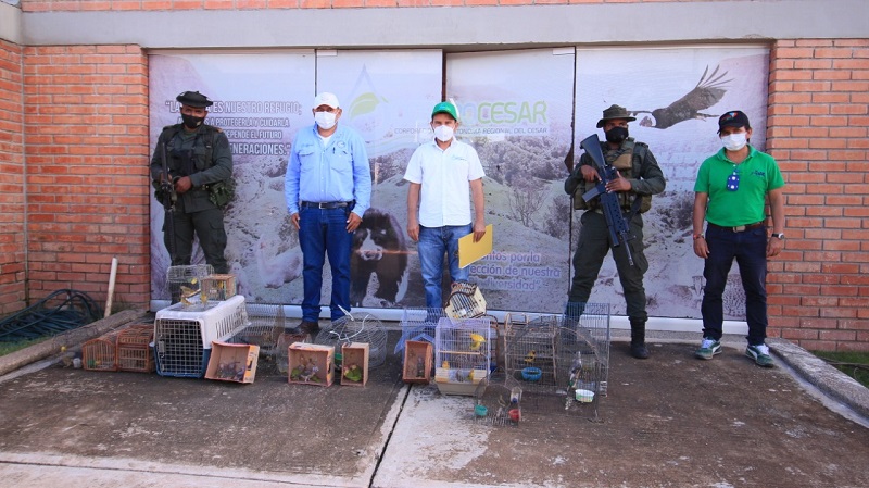 Policías, militares y funcionarios posan junto a jaulas con aves incautadas frente a una edificación de ladrillo