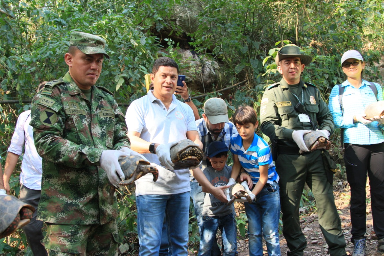Militares, funcionarios y un niño sostienen animales silvestres antes de liberarlos en el bosque