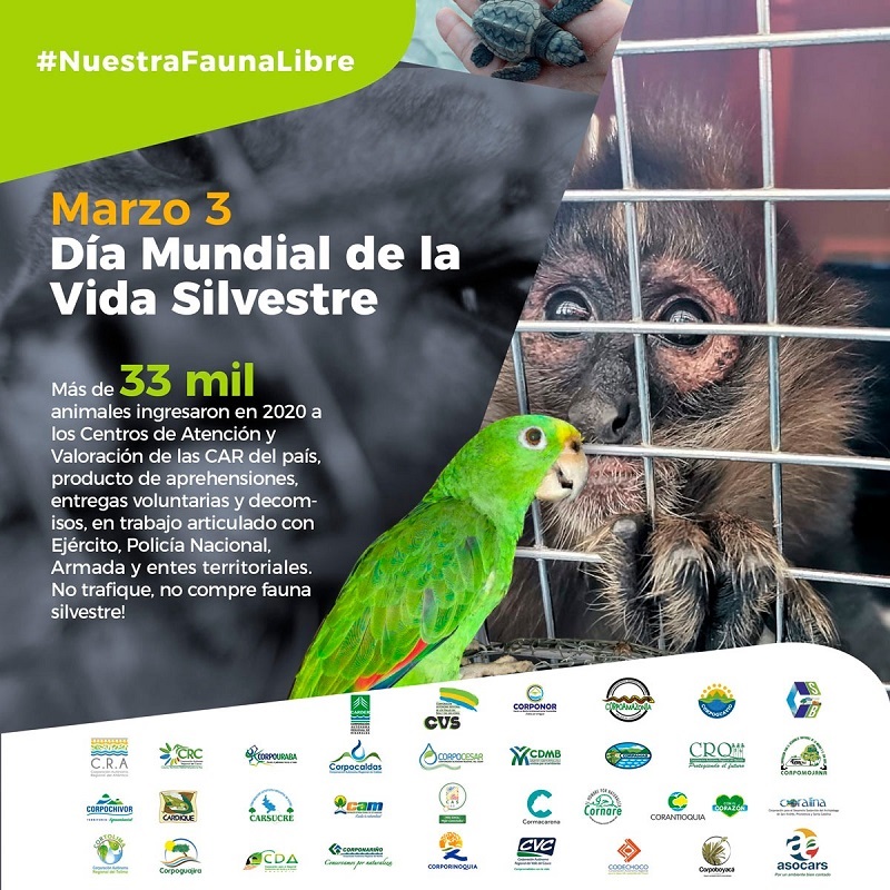Afiche «#NuestraFaunaLibre, 3 de marzo, Día Mundial de la Vida Silvestre»: más de 33 mil animales ingresaron en 2020 a los Centros de Atención y Valoración de las CAR del país; no trafique, no compre fauna silvestre; con un mono tras una reja, un loro y los logos de las corporaciones
