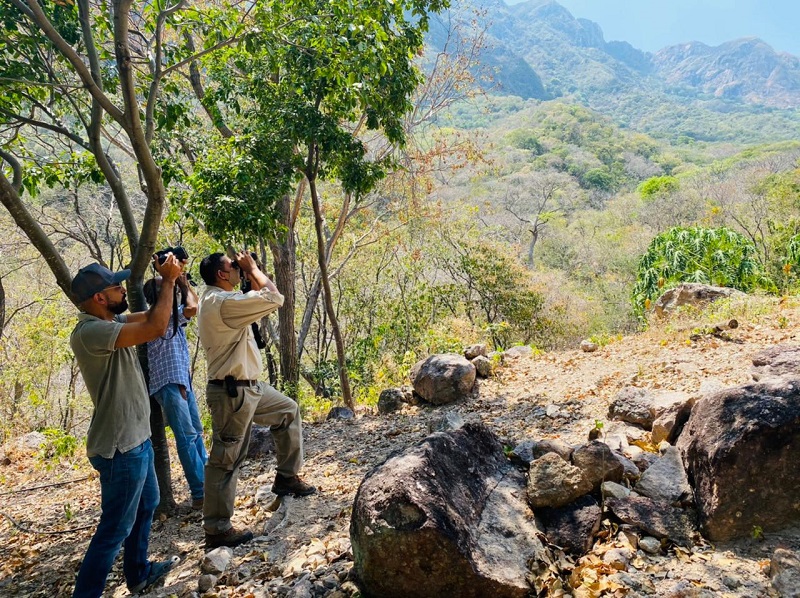 Funcionarios observan con binoculares el paisaje montañoso durante el censo de cóndores