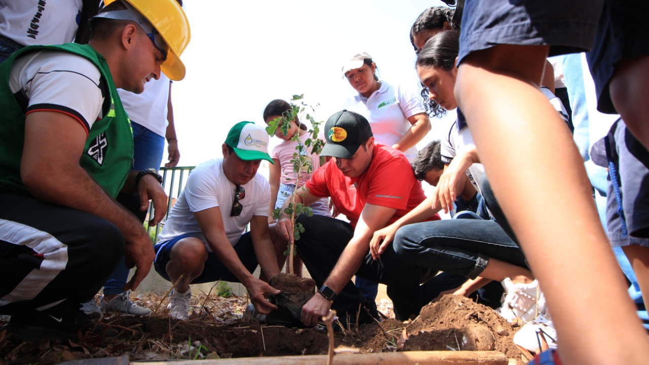 Voluntarios siembran un árbol juntos durante la jornada en defensa de los cuerpos de agua