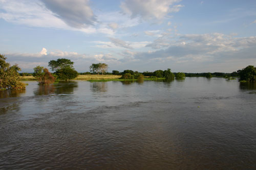 Ciénaga