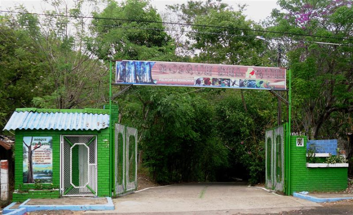 Bosque del Agüil