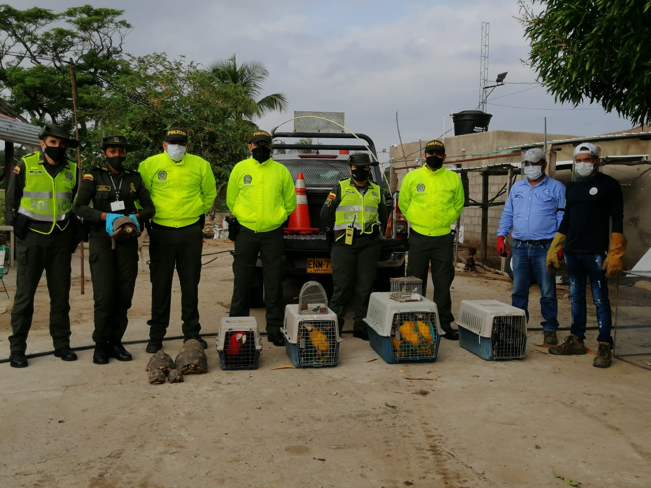 Policías y funcionarios con chalecos reflectivos junto a jaulas de transporte con fauna silvestre rescatada