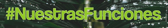 Banner con el texto «#NuestrasFunciones» sobre un fondo de hojas verdes