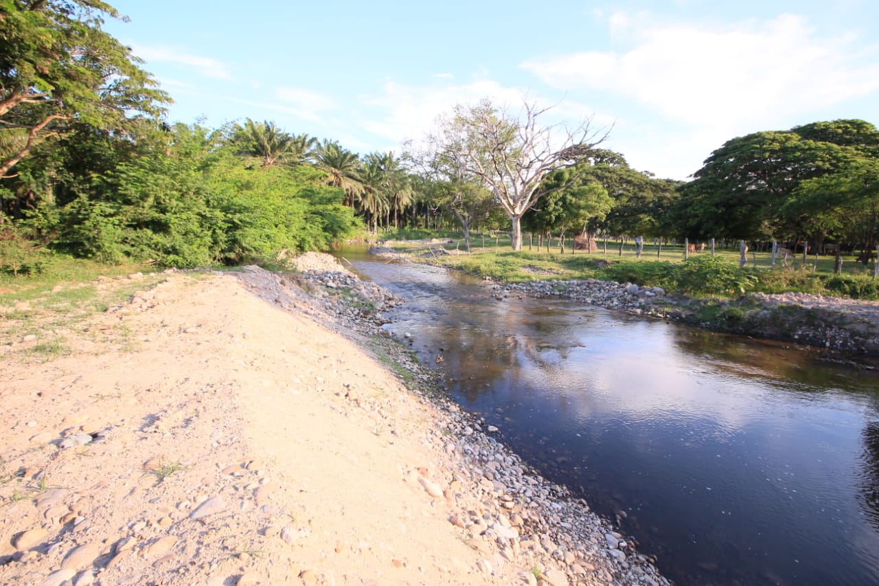 Un río de aguas oscuras entre orillas de arena y vegetación