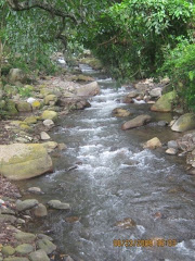 Fotografía del río Chiriaimo: corriente de agua entre piedras y vegetación.