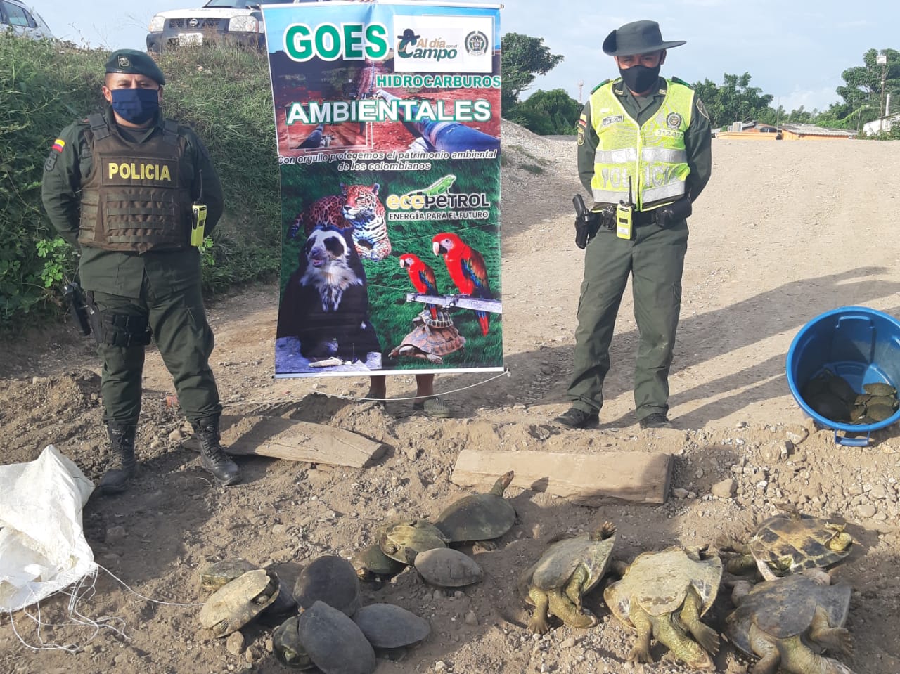 Un policía y un funcionario con chaleco reflectivo junto a un pendón de los GOES ambientales y tortugas incautadas en el suelo